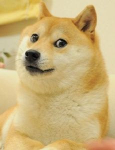 Doge (meme)