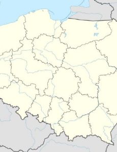 Plewiska