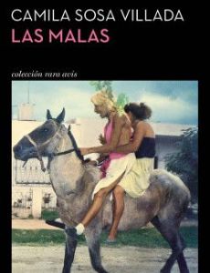 Bad Girls (Sosa Villada novel)