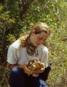 Liz Howe