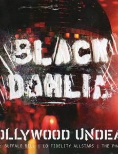 Black Dahlia
