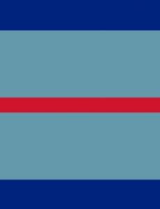 Air commodore
