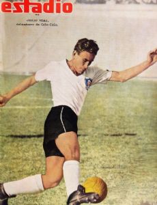 Julio Vial