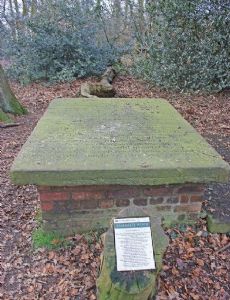 Samuel Johnson (dramatist)