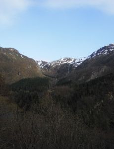 The Isdal woman