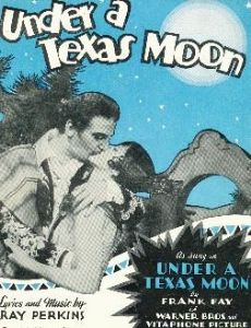 Under a Texas Moon