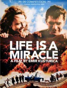 Life is a Miracle