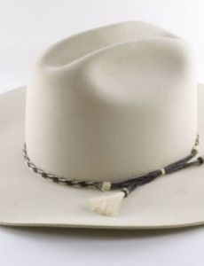 Cowboy hat