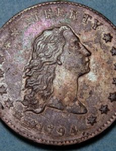 Flowing Hair dollar