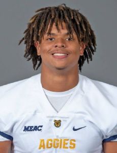 Darryl Johnson (defensive end)