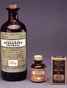 Ephedra