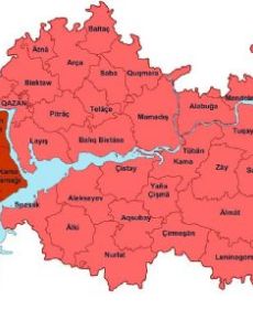 Taw yağı