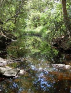 Ithaca Creek