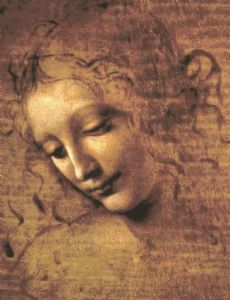 Head of a Woman (Leonardo)