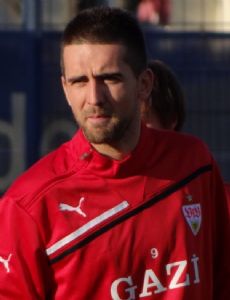 Vedad Ibišević