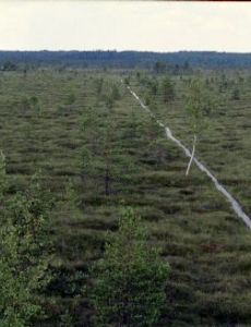 Nigula Nature Reserve
