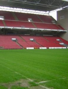 Denmark v Sweden (UEFA Euro 2008 qualifying)