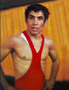 Shamseddin Seyed-Abbasi