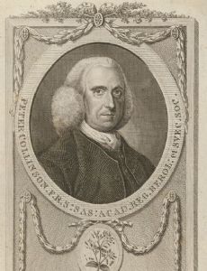 Peter Collinson (botanist)