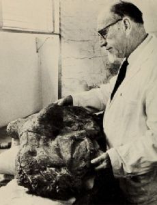 Lieuwe Dirk Boonstra