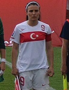 Bilgin Defterli