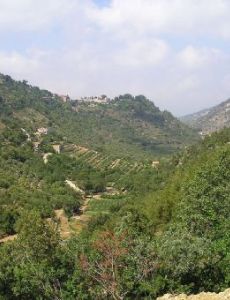 Chouf District