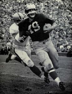Bob Ptacek