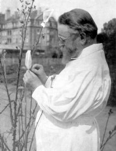Carl Correns