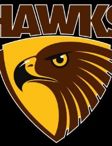 Hawthorn Football Club