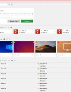 AnyDesk
