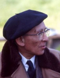Henri Romagnesi