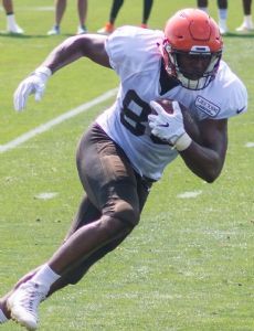 Darren Fells