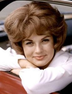 Toni Ann Thomas