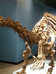 Lufeng Dinosaur Museum
