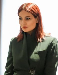Ani Samsonyan