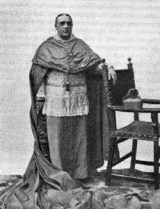 Enrique Almaraz y Santos