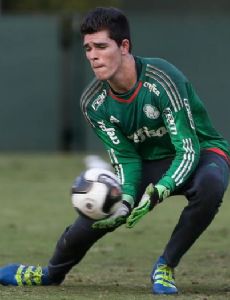 Vinícius Silvestre