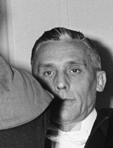 Pieter De Somer