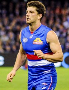 Tom Liberatore