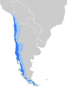 Chilean Spanish