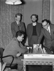 Mario Bertok