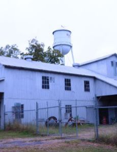 Stipe Cotton Gin