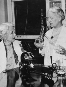 Elizabeth Lee Hazen