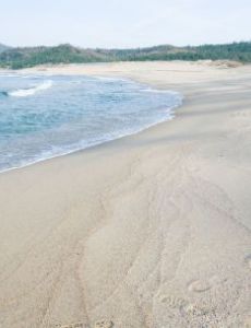 Kotohiki Beach