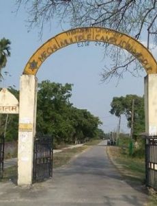 Mechi Multiple Campus