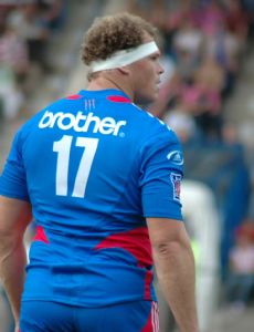 Pieter de Villiers (rugby union)