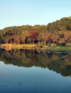Century Park (Shanghai)