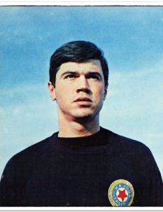 Radomir Vukčević