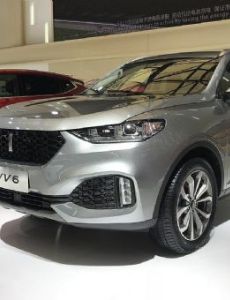 WEY VV6