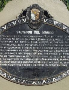 Salvador del Mundo (chemist)